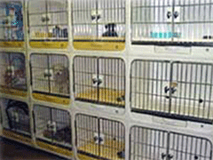 画像：ホテル風景