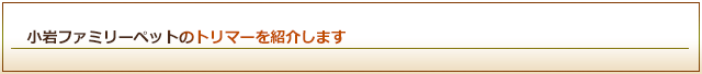 小岩ファミリーペットのトリマーを紹介します